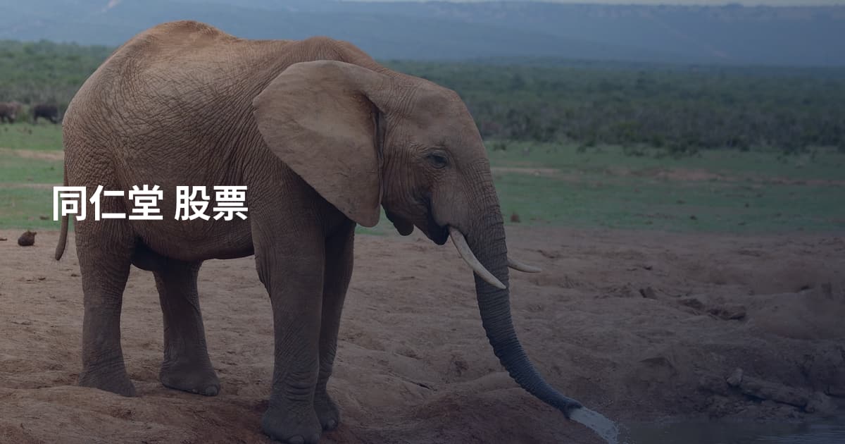 同仁堂 股票
