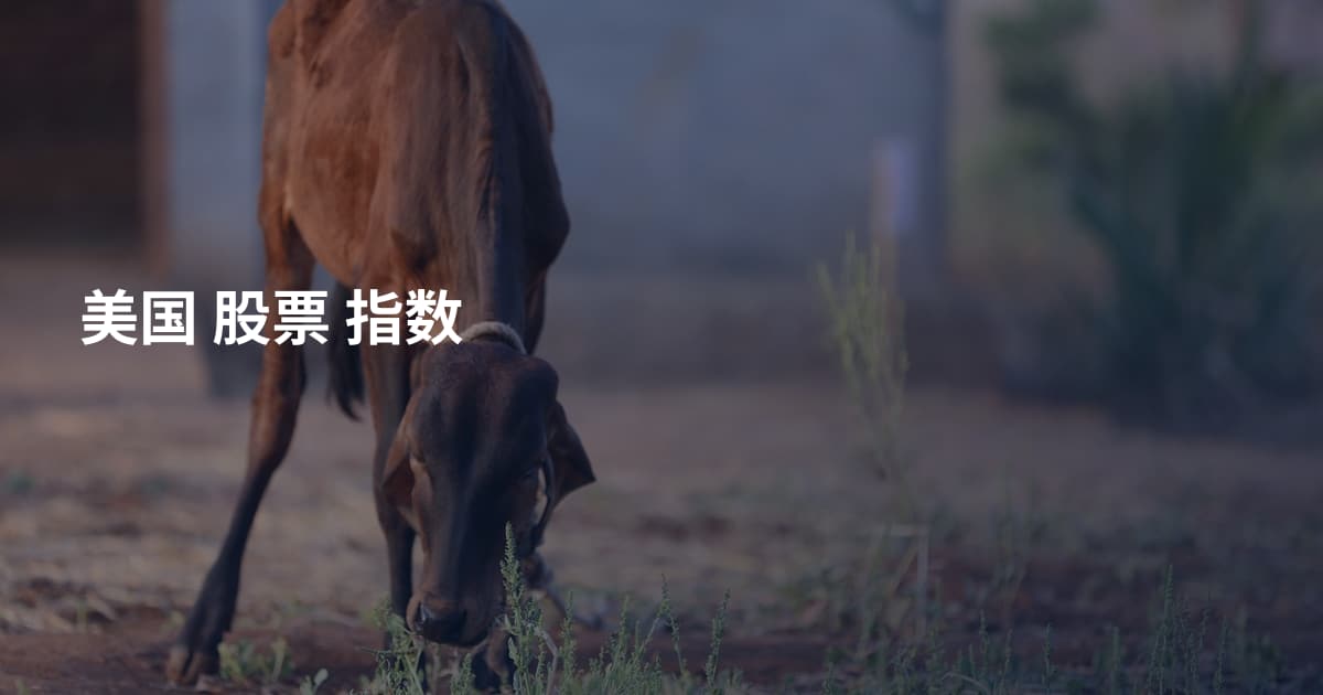 美国 股票 指数