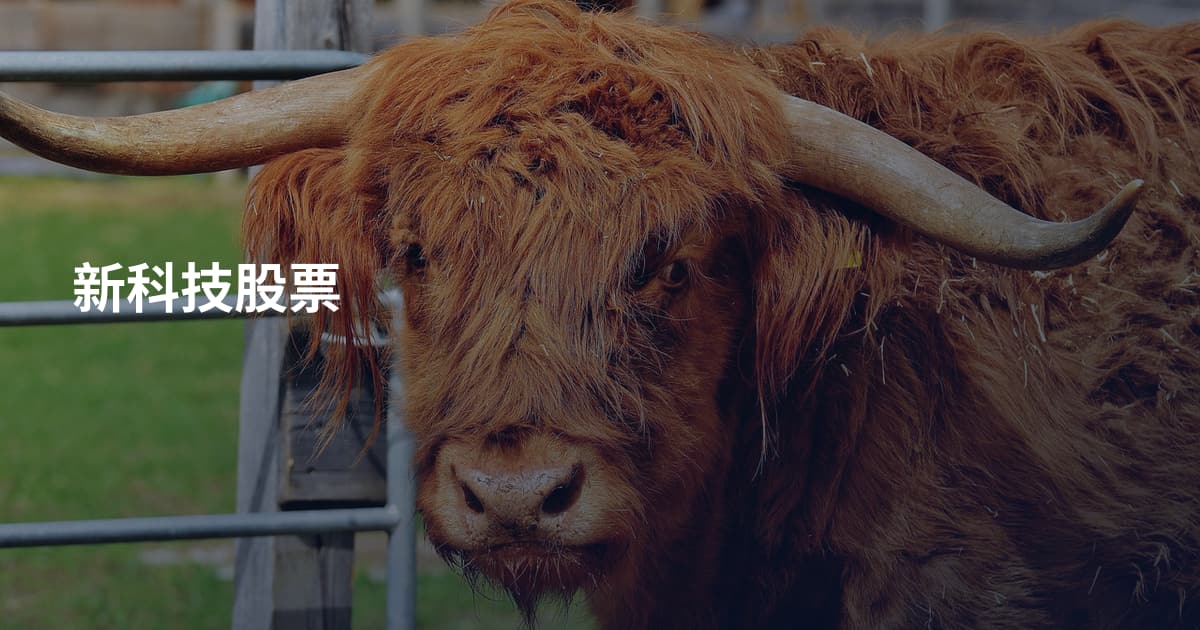 新科技股票