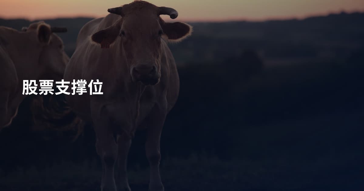 股票支撑位