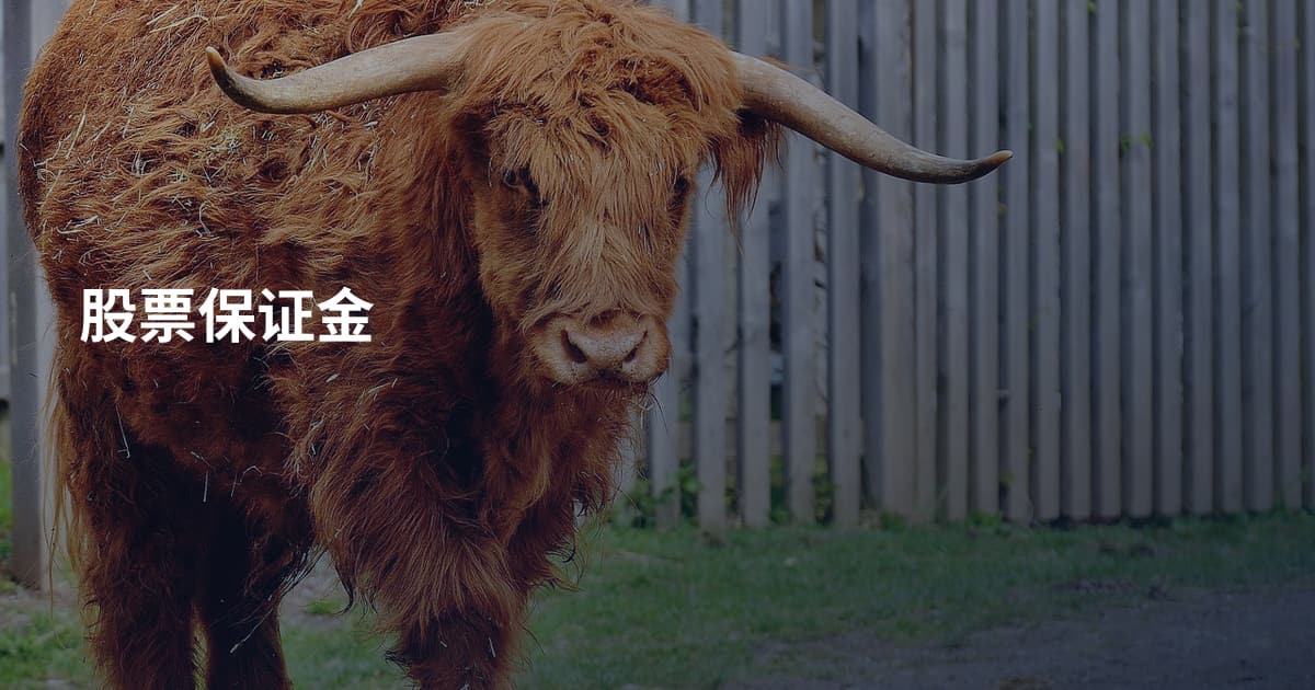 股票保证金