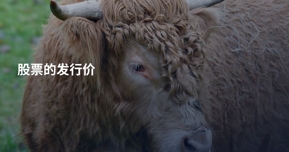 股票的发行价