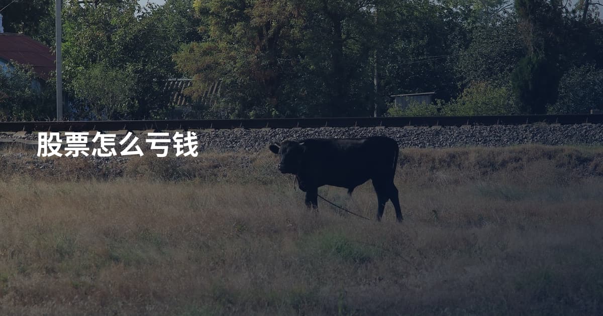 股票怎么亏钱