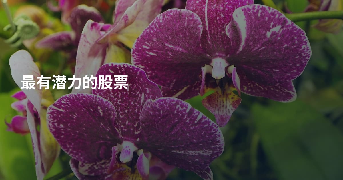 最有潜力的股票