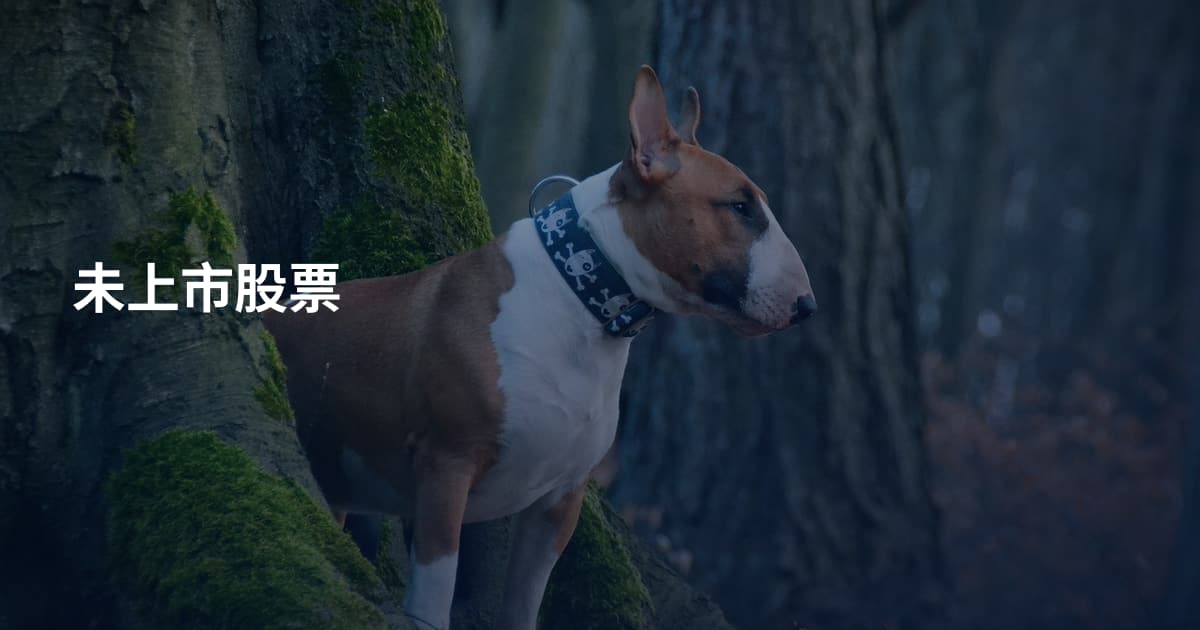 未上市股票