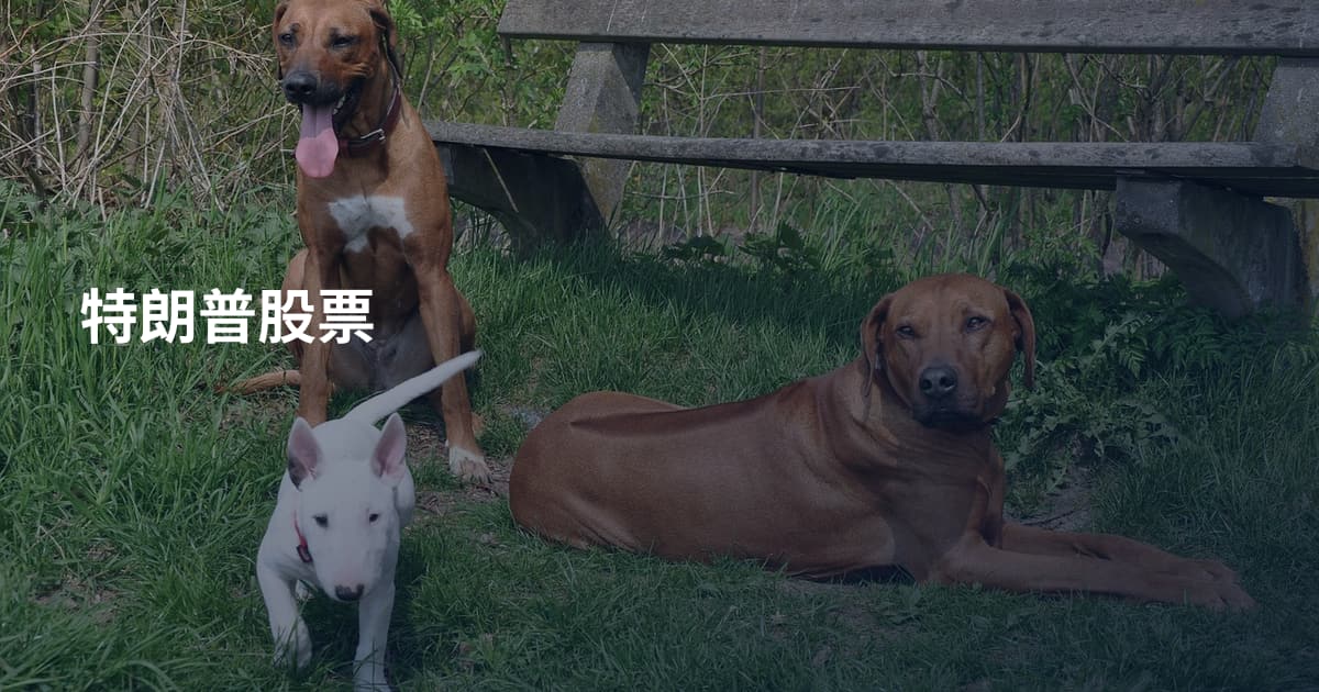 特朗普股票