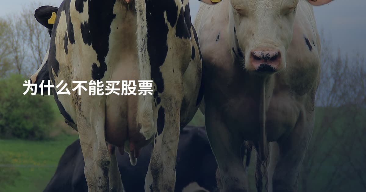 为什么不能买股票