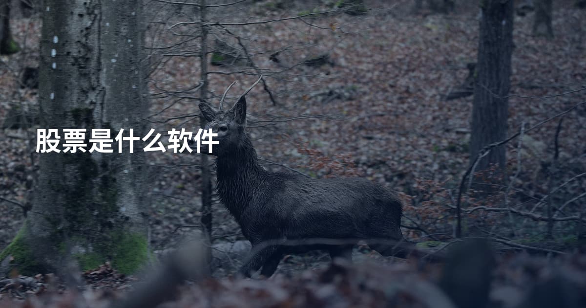 股票是什么软件