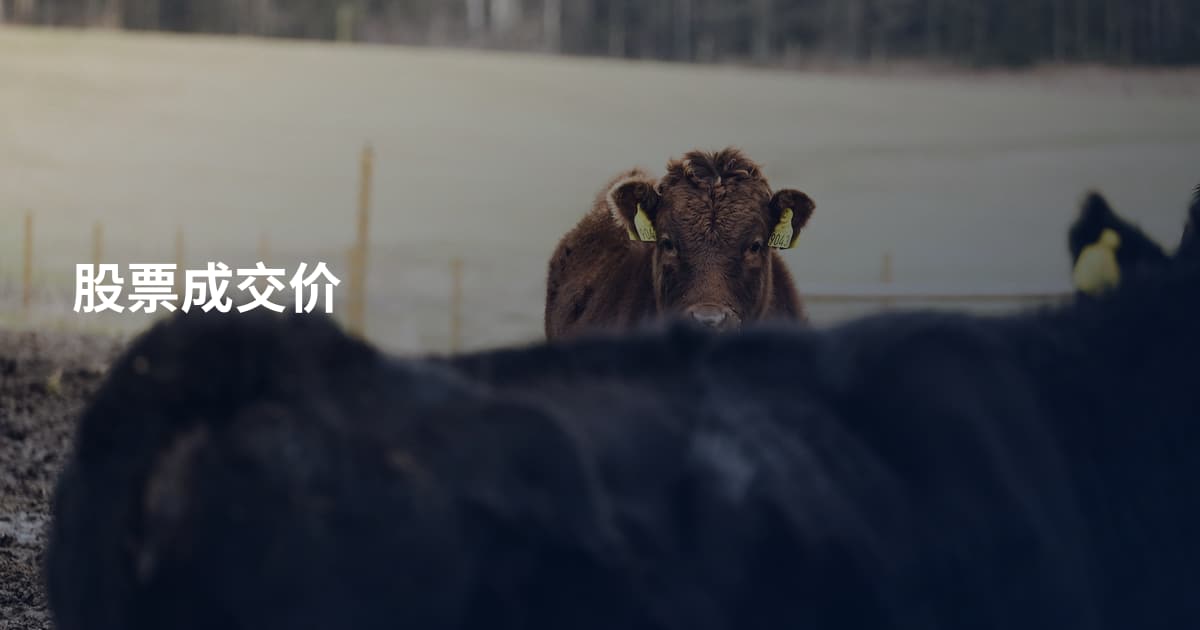 股票成交价