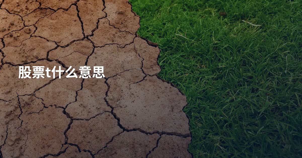 股票t什么意思