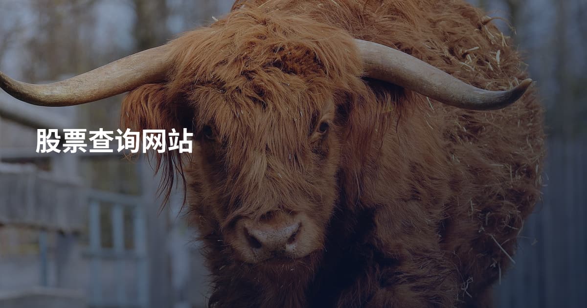 股票查询网站