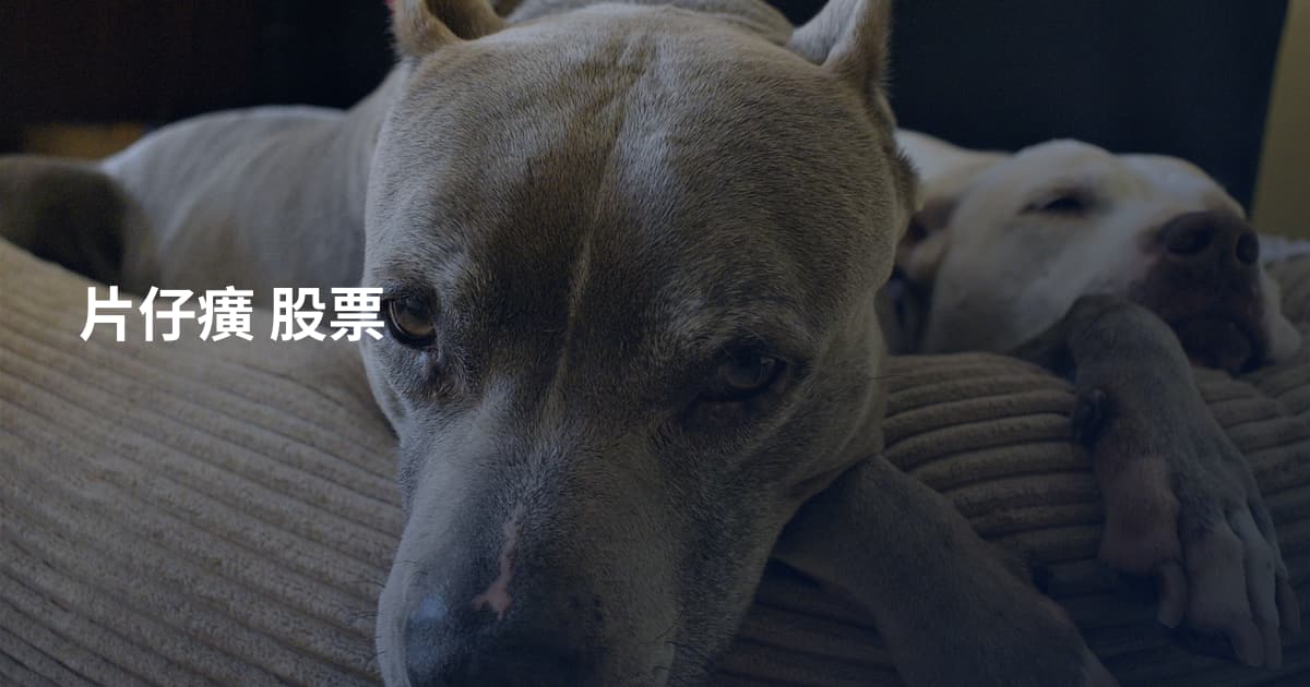 片仔癀 股票