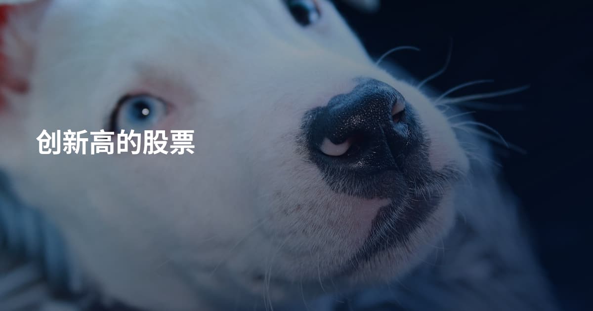 创新高的股票
