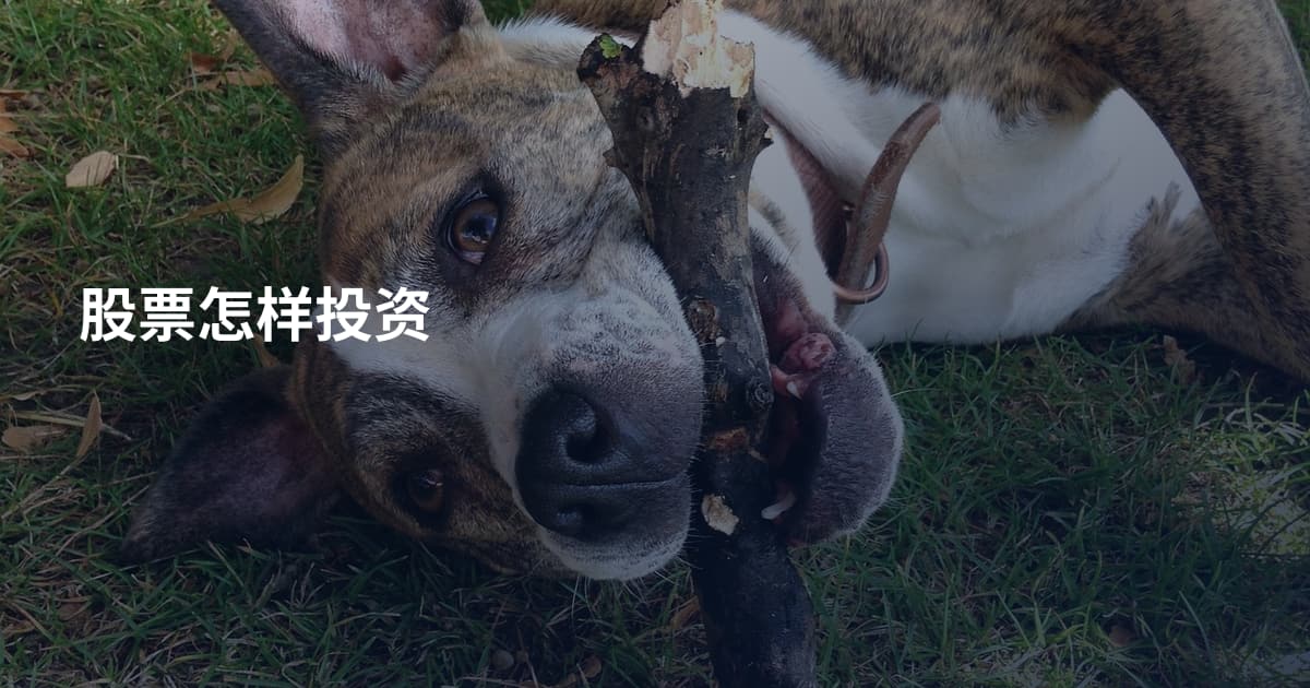 股票怎样投资