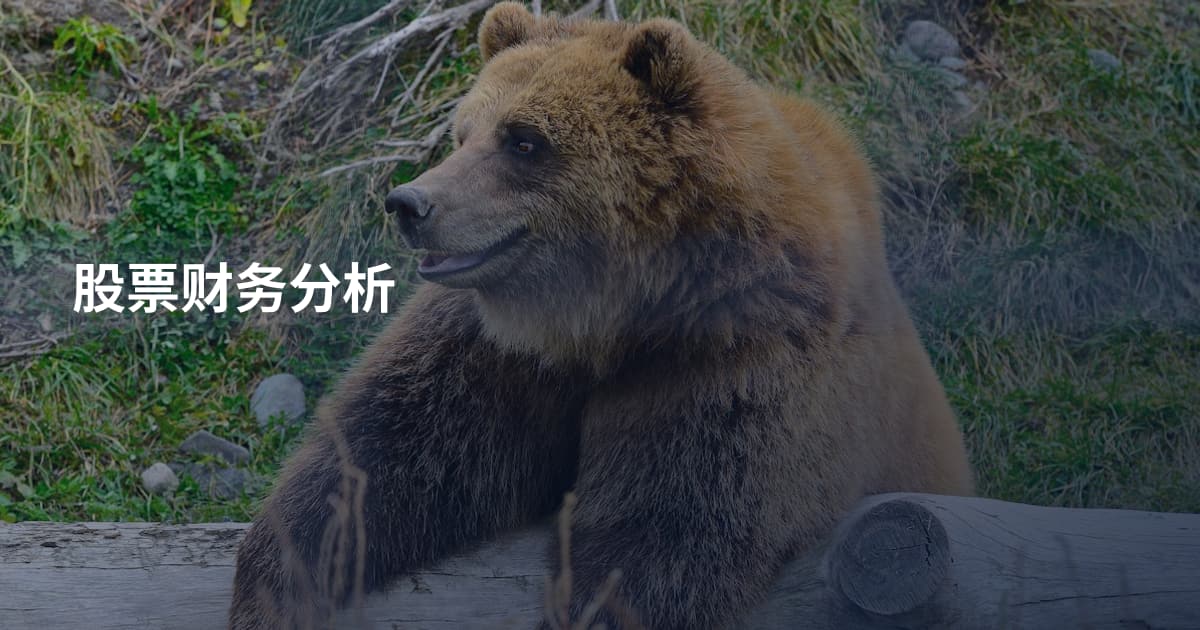 股票财务分析