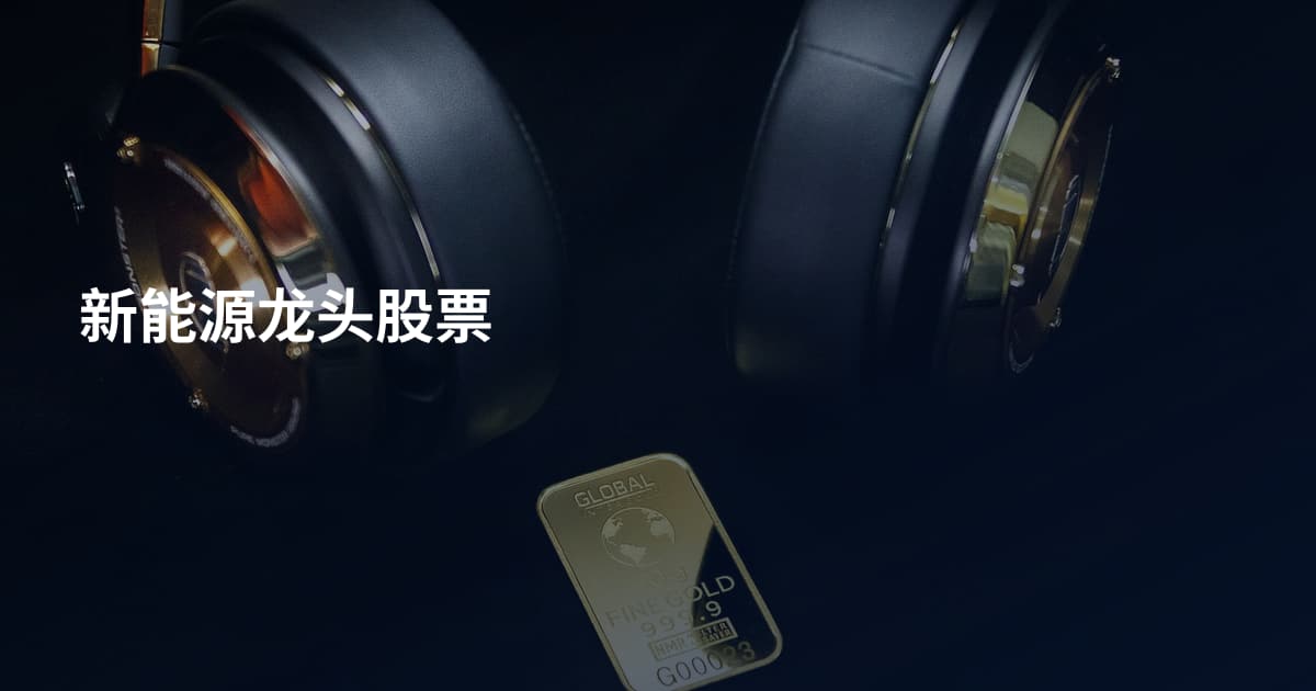 新能源龙头股票