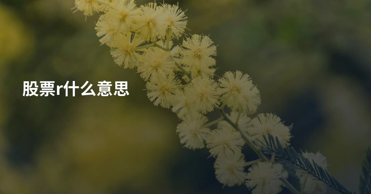 股票r什么意思