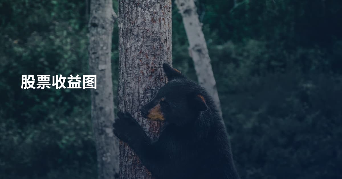 股票收益图