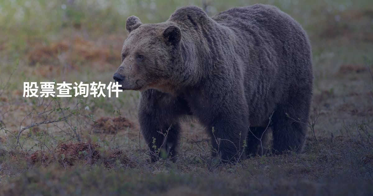 股票查询软件