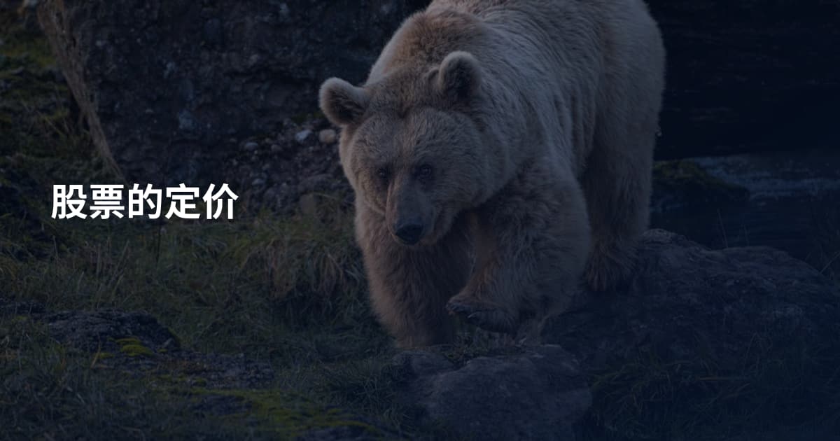 股票的定价
