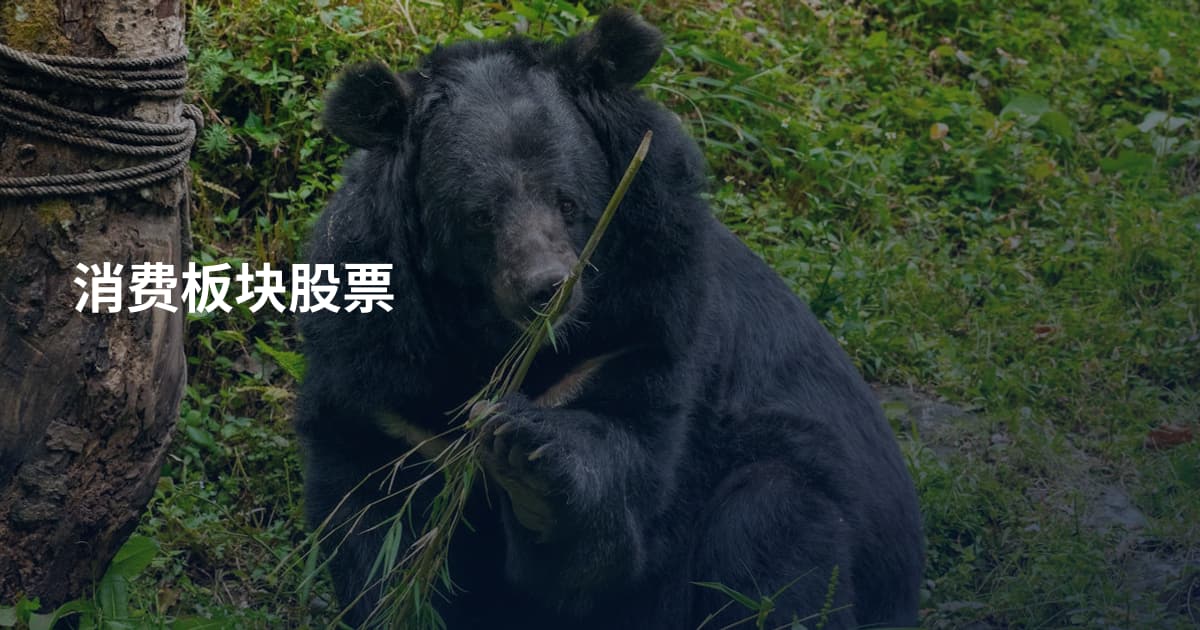 消费板块股票