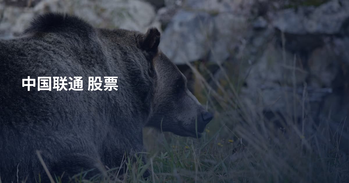 中国联通 股票