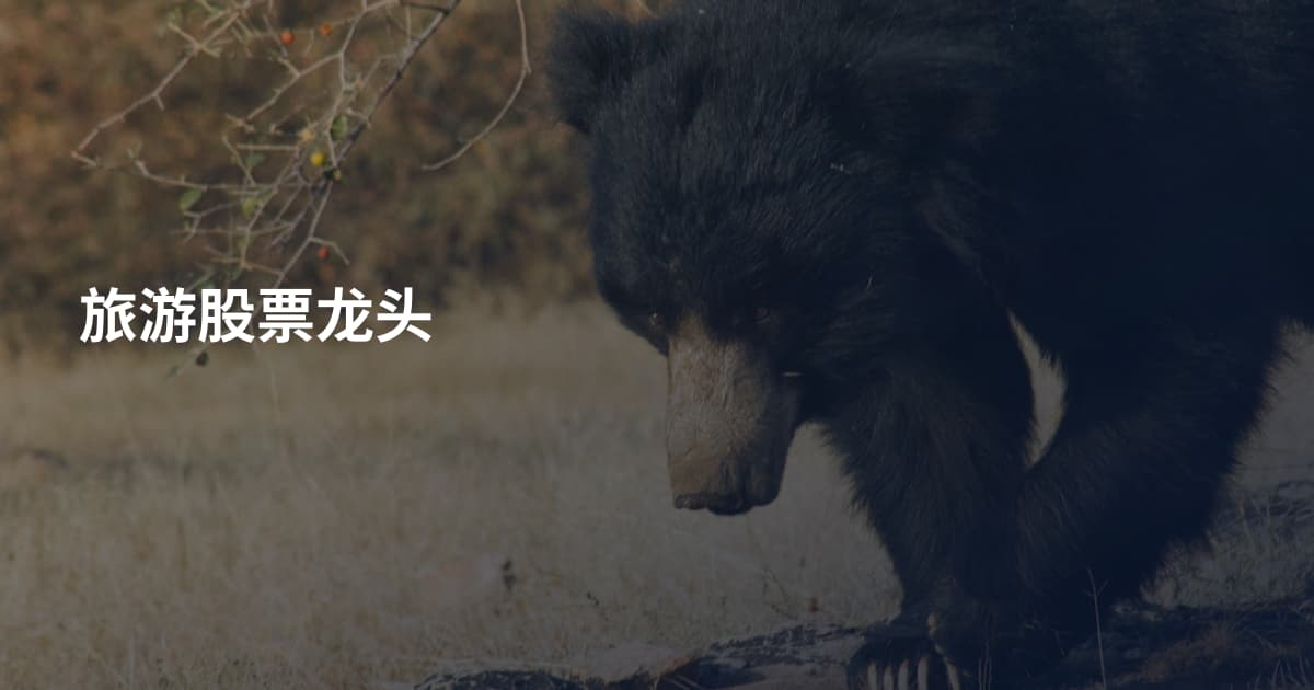 旅游股票龙头