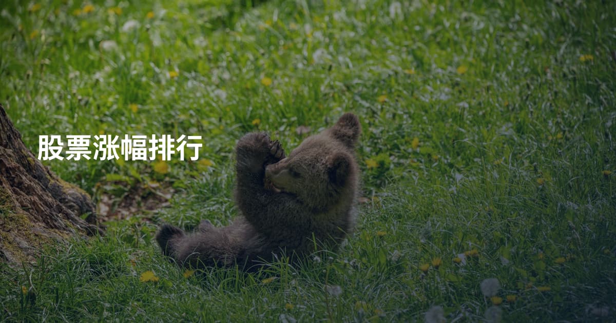 股票涨幅排行