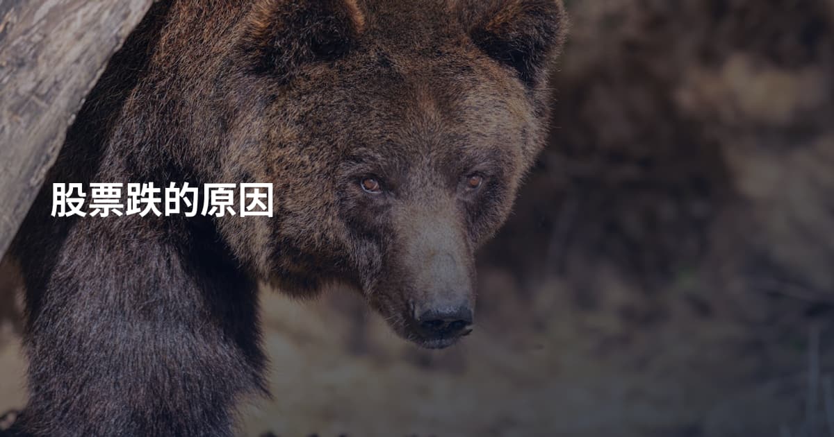 股票跌的原因