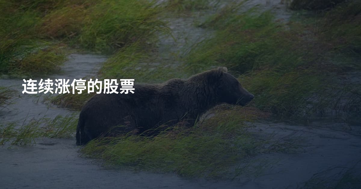 连续涨停的股票