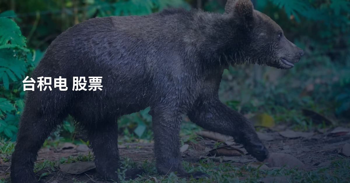 台积电 股票