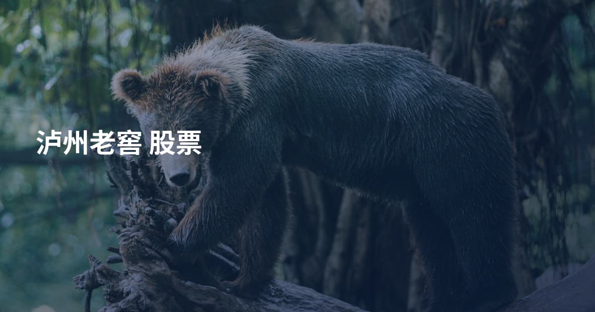 泸州老窖 股票