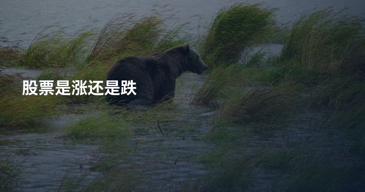 股票是涨还是跌