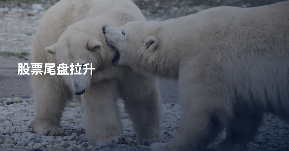 股票尾盘拉升