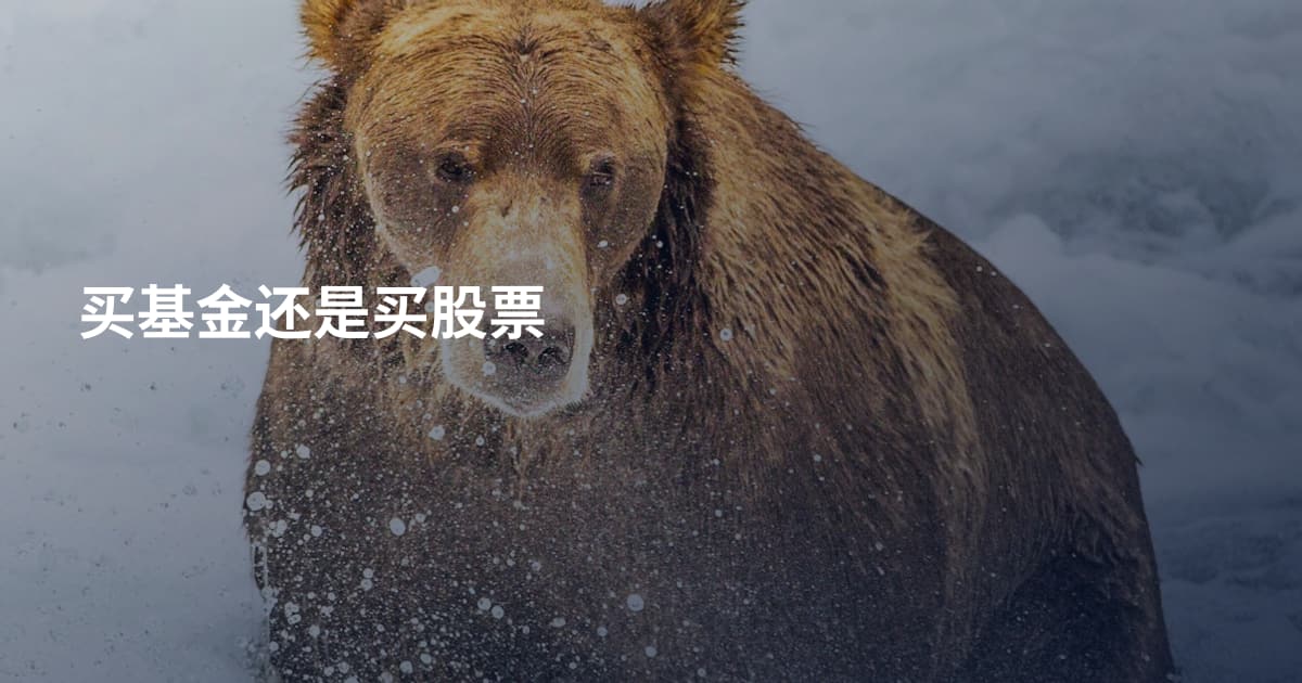买基金还是买股票