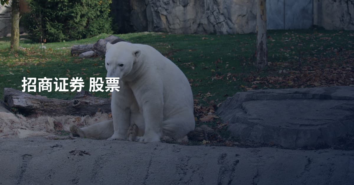 招商证券 股票