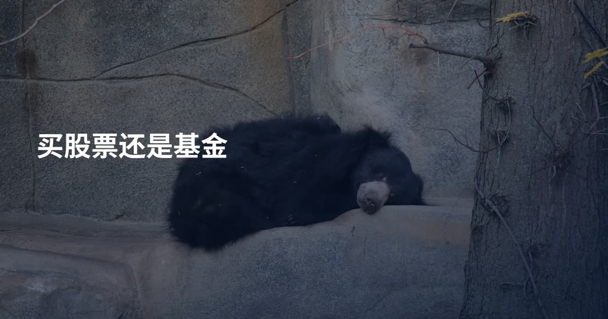买股票还是基金