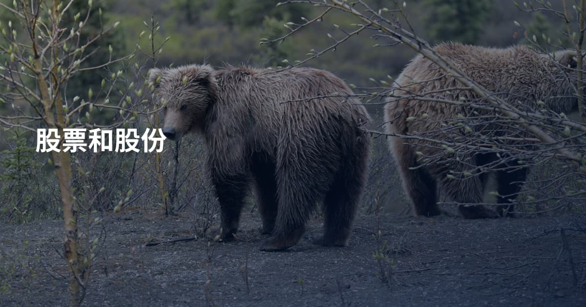 股票和股份
