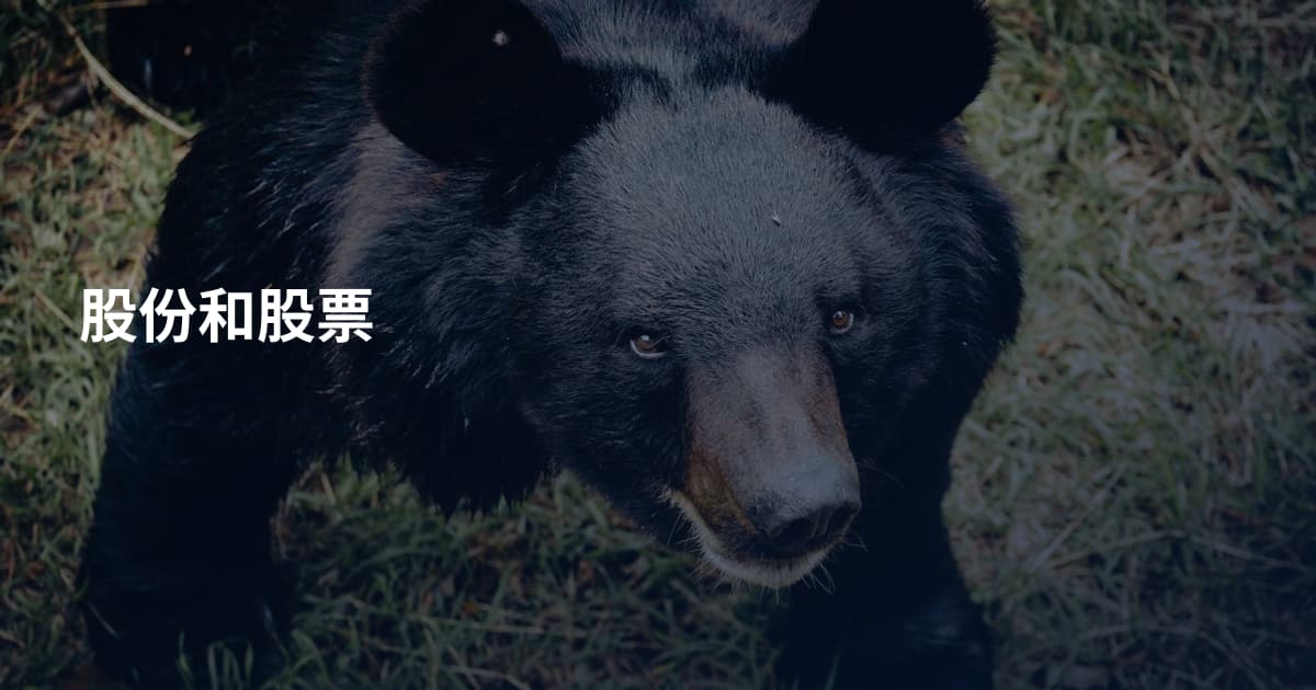 股份和股票