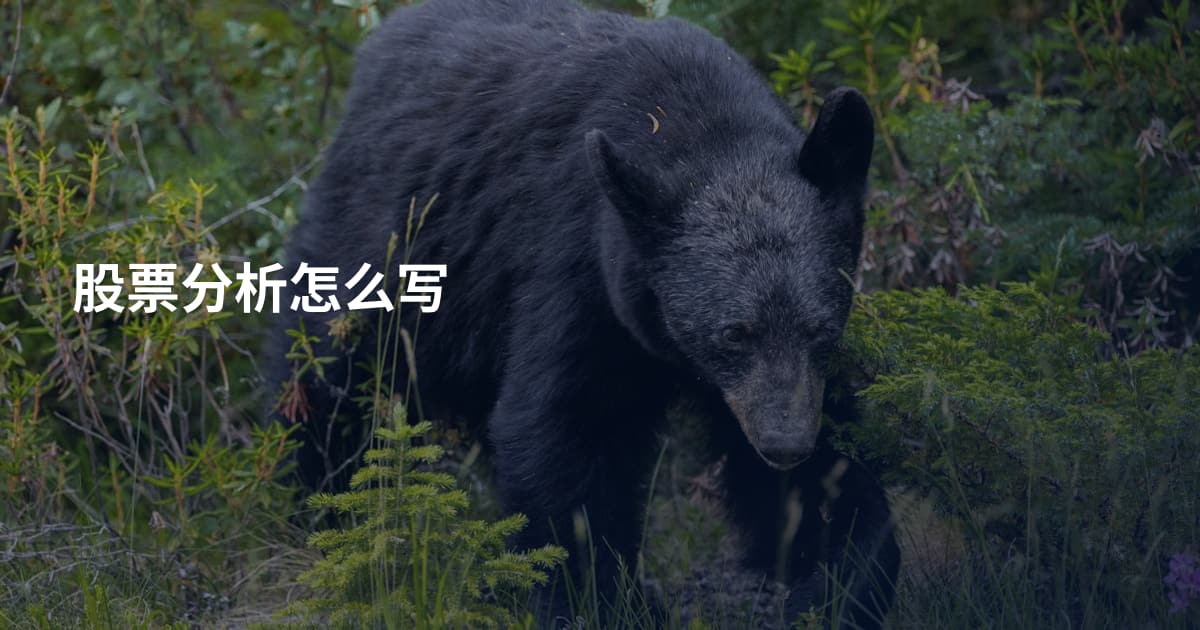 股票分析怎么写
