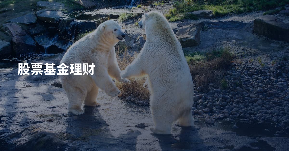 股票基金理财
