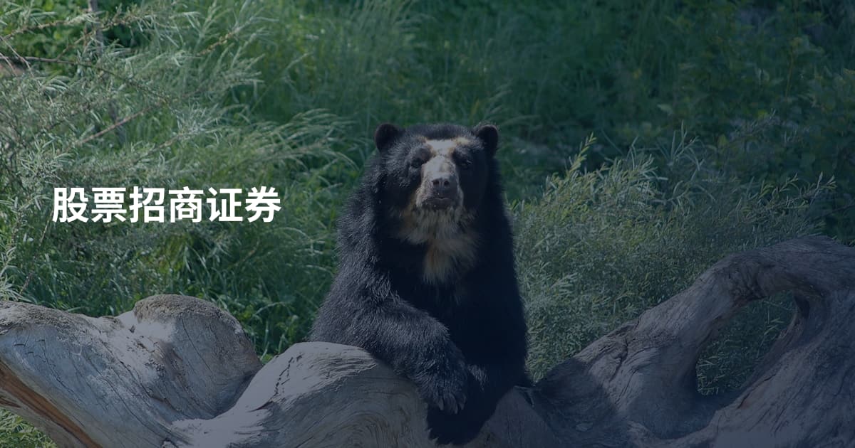 股票招商证券