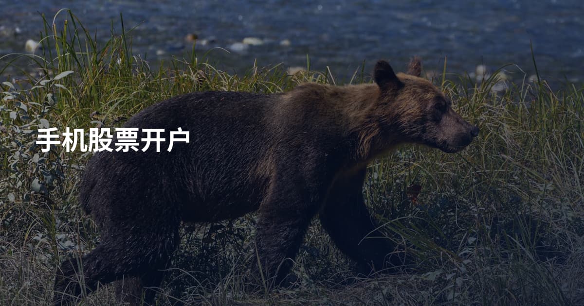 手机股票开户