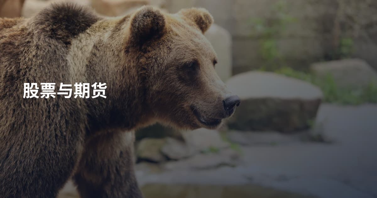 股票与期货