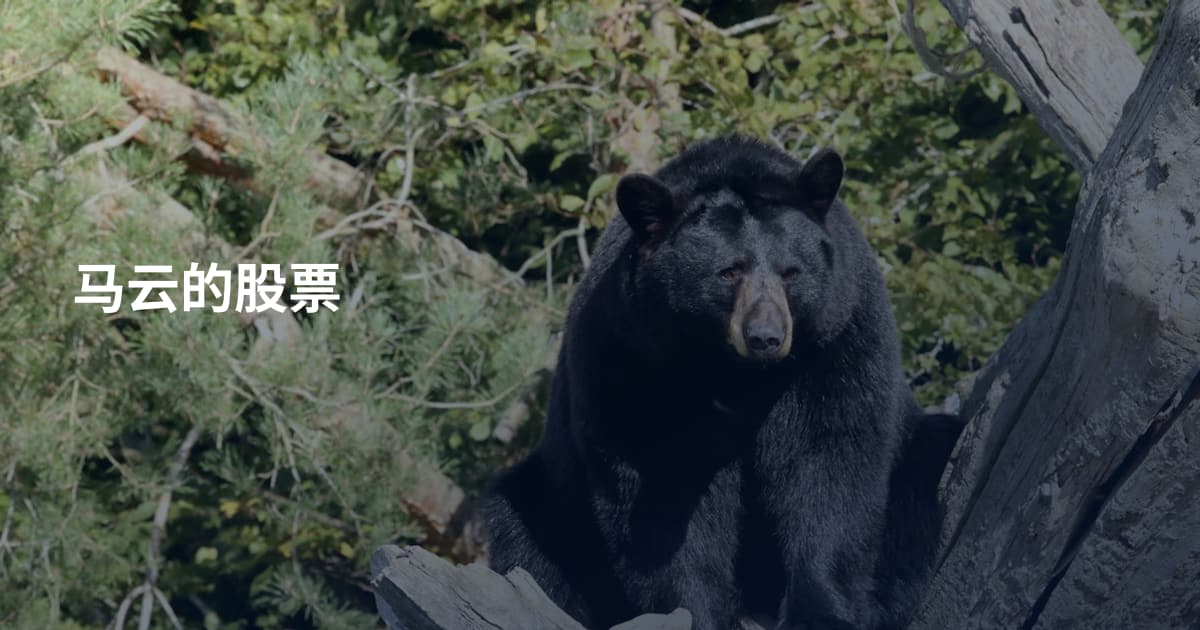 马云的股票