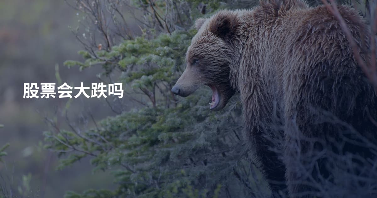 股票会大跌吗