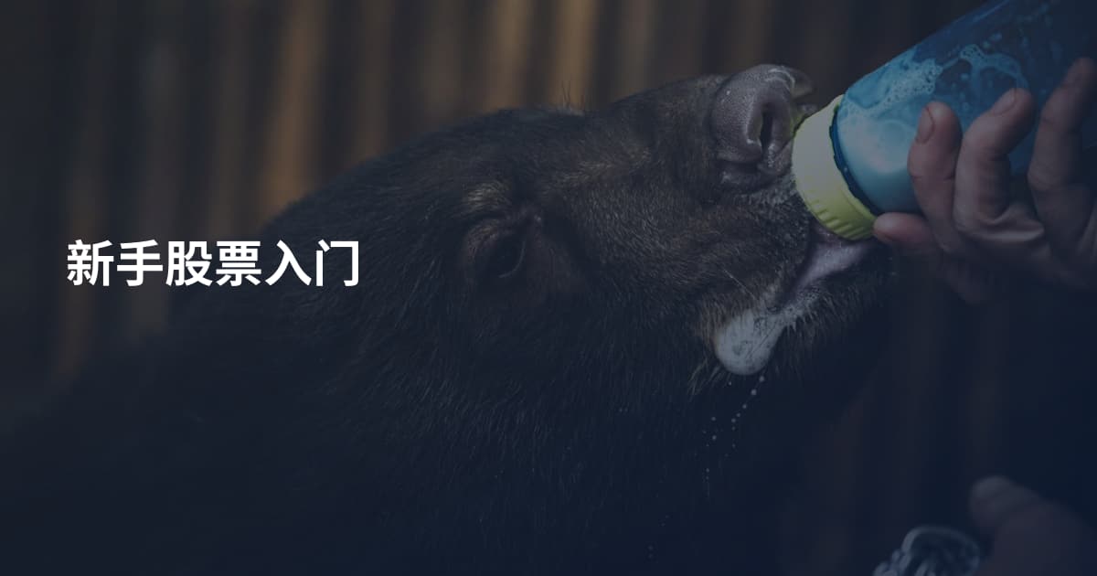 新手股票入门