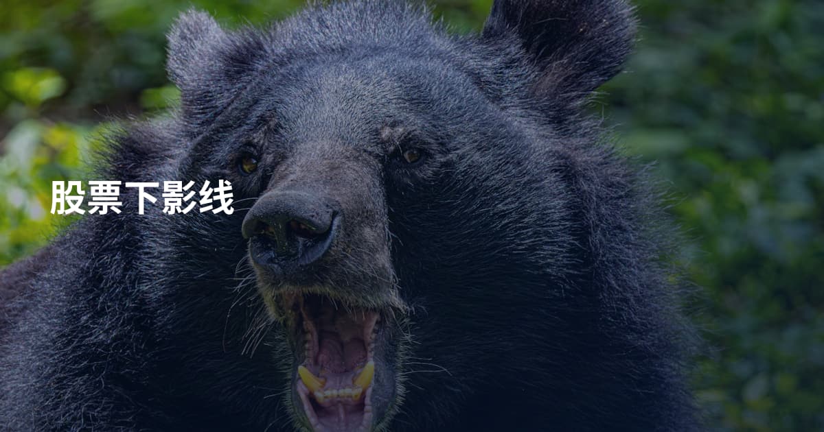 股票下影线