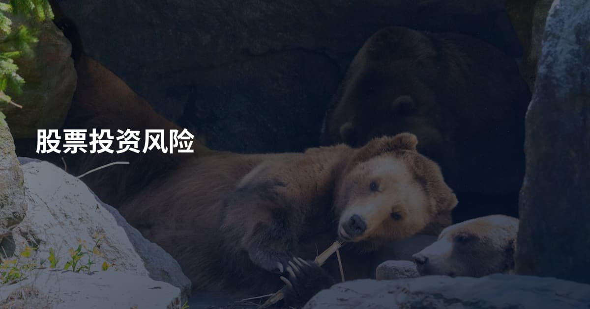 股票投资风险