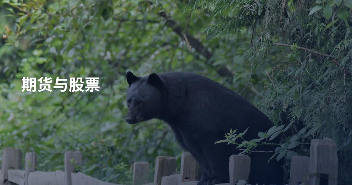 期货与股票